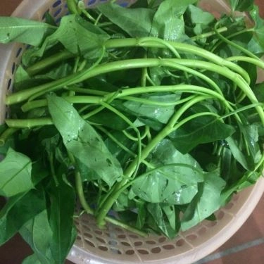 Món ăn- Quán Ăn Đệ Nhất Quán - Lẩu Ếch