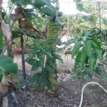 Tổng hợp- Quán Ăn Điền Trang Quán - Hải Sản Tươi Sống