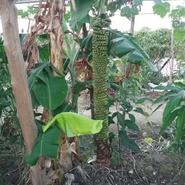Tổng hợp- Quán Ăn Điền Trang Quán - Hải Sản Tươi Sống