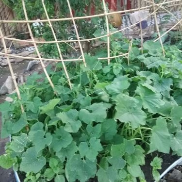 Tổng hợp- Quán Ăn Điền Trang Quán - Hải Sản Tươi Sống