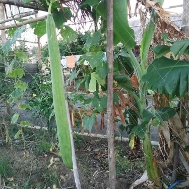 Tổng hợp- Quán Ăn Điền Trang Quán - Hải Sản Tươi Sống