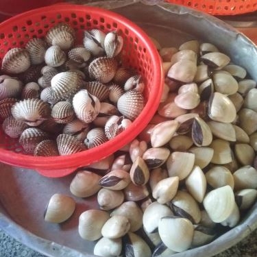 Món ăn- Quán Ăn Điền Trang Quán - Hải Sản Tươi Sống