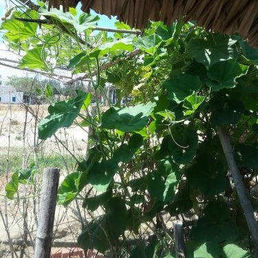 Tổng hợp- Quán Ăn Điền Trang Quán - Hải Sản Tươi Sống