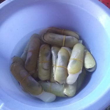 Món ăn- Quán Ăn Điền Trang Quán - Hải Sản Tươi Sống