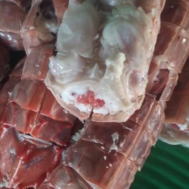Tổng hợp- Quán Ăn Điền Trang Quán - Hải Sản Tươi Sống