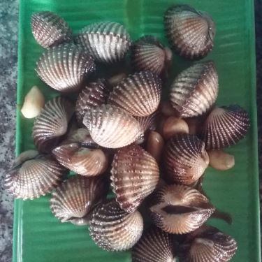 Món ăn- Quán Ăn Điền Trang Quán - Hải Sản Tươi Sống