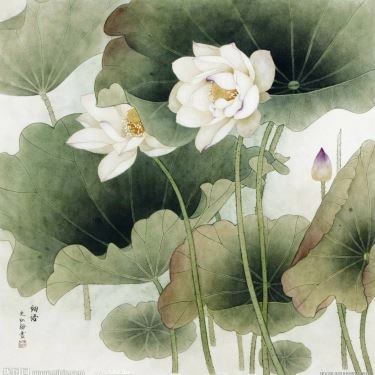Không gian- Quán Ăn Diệu Âm Quán - Ngọc Lâm