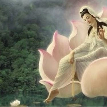 Tổng hợp- Quán Ăn Diệu Âm Quán - Ngọc Lâm