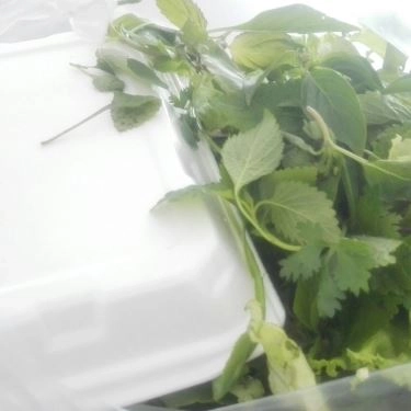 Món ăn- Quán Ăn Diệu Hoa Quán - Bún Chả & Phở Hà Nội