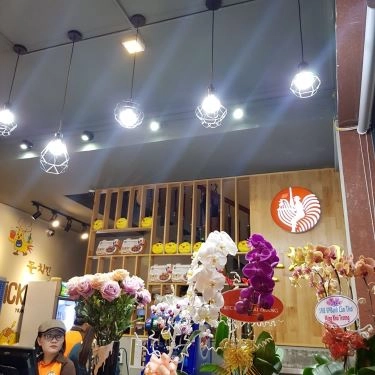 Tổng hợp- Nhà Hàng Don Chicken - Chicken & Pub - Trần Văn Khéo