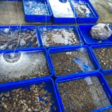 Tổng hợp- Quán Ăn Đông Anh Quán - Hải Sản Tươi Sống