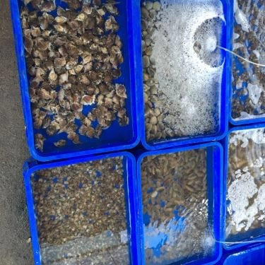 Tổng hợp- Quán Ăn Đông Anh Quán - Hải Sản Tươi Sống
