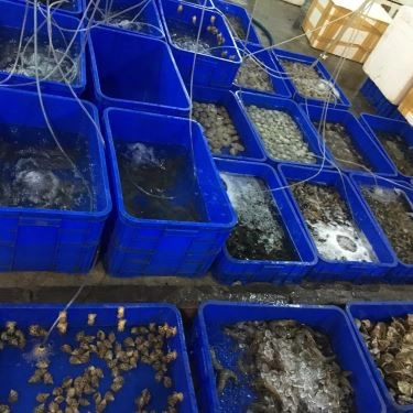Tổng hợp- Quán Ăn Đông Anh Quán - Hải Sản Tươi Sống
