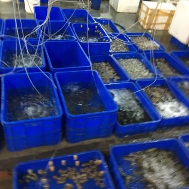 Tổng hợp- Quán Ăn Đông Anh Quán - Hải Sản Tươi Sống
