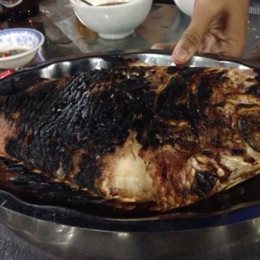 Tổng hợp- Quán Ăn Đông Anh Quán - Hải Sản Tươi Sống