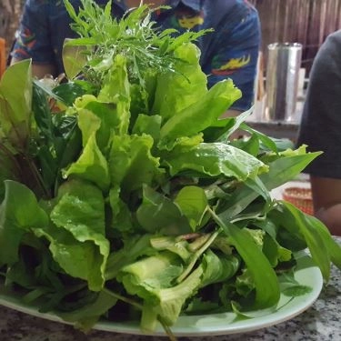 Tổng hợp- Quán Ăn Đồng Xanh - Bánh Tráng Phơi Sương