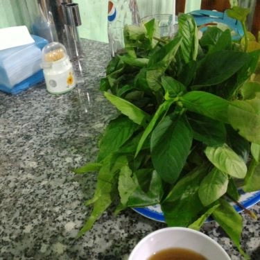 Tổng hợp- Quán Ăn Đồng Xanh - Bánh Tráng Phơi Sương