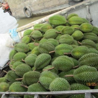 Tổng hợp- Nhà Hàng Du Thuyền Floating Restaurant