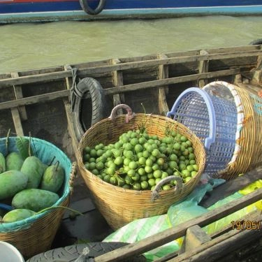 Tổng hợp- Nhà Hàng Du Thuyền Floating Restaurant