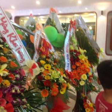 Tổng hợp- Nhà Hàng Du Thuyền Hạnh Phúc - Happy Yacht