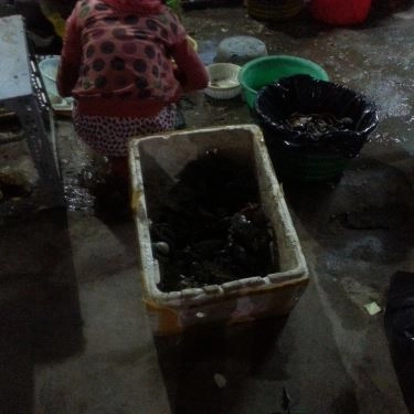 Tổng hợp- Quán Ăn Dũng Năm Căn 1 - Vành Đai Trong