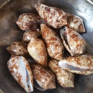 Tổng hợp- Duyên Hải - Quán Ăn Gia Đình Ven Sông