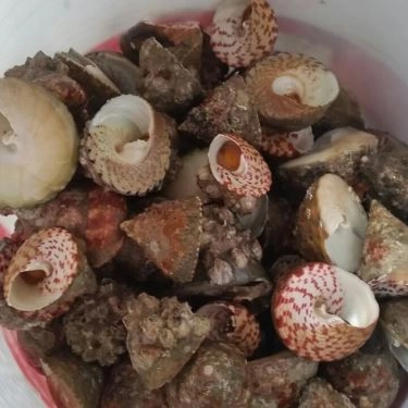 Tổng hợp- Duyên Hải - Quán Ăn Gia Đình Ven Sông