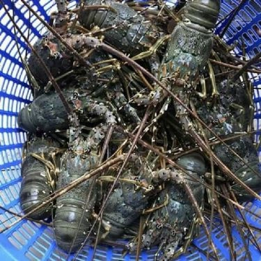 Tổng hợp- Duyên Hải - Quán Ăn Gia Đình Ven Sông