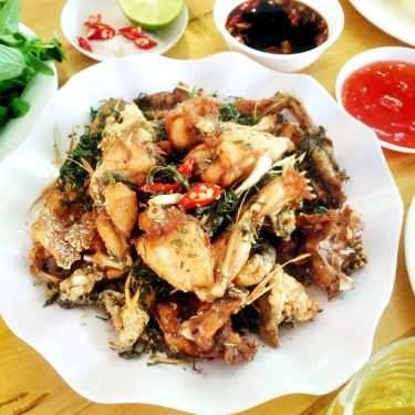 Món ăn- Ếch Ộp Quán - Lươn & Ếch