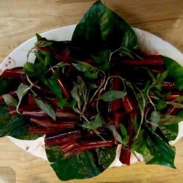 Tổng hợp- Ếch Ộp Quán - Lươn & Ếch