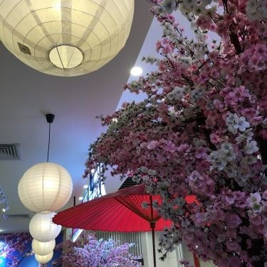 Tổng hợp- Nhà Hàng Fuji Sakura - Ẩm Thực Nhật Bản - AEON Mall Bình Tân