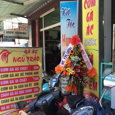 Tổng hợp- Quán Ăn Gà Ác Ngũ Trảo