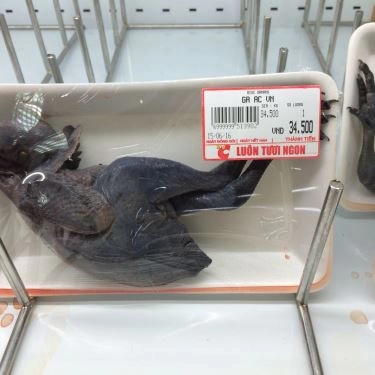 Tổng hợp- Quán Ăn Gà Ác Ngũ Trảo