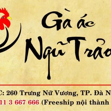 Tổng hợp- Quán Ăn Gà Ác Ngũ Trảo