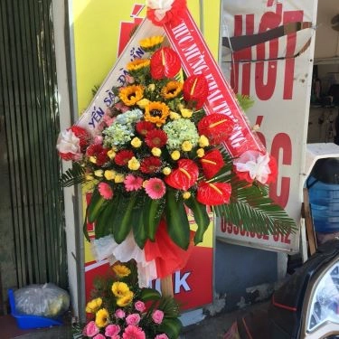 Tổng hợp- Quán Ăn Gà Ác Ngũ Trảo