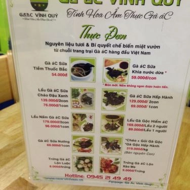 Tổng hợp- Quán Ăn Gà Ác Vĩnh Quý