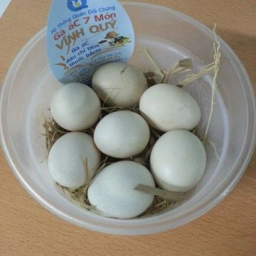 Tổng hợp- Quán Ăn Gà Ác Vĩnh Quý