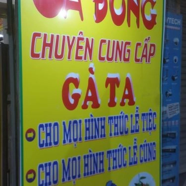 Tổng hợp- Quán Ăn Gà Đồng
