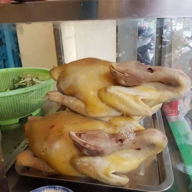 Tổng hợp- Quán Ăn Gà Luộc Giòn Da - Bún, Miến, Hủ Tiếu