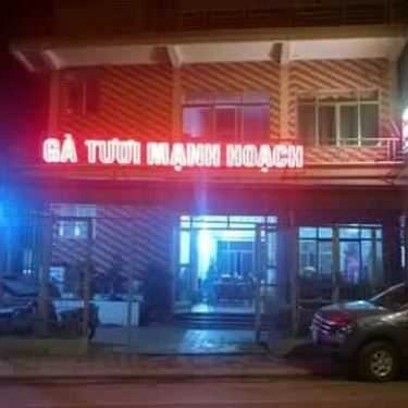 Tổng hợp- Gà Tươi Mạnh Hoạch - Yên Thanh