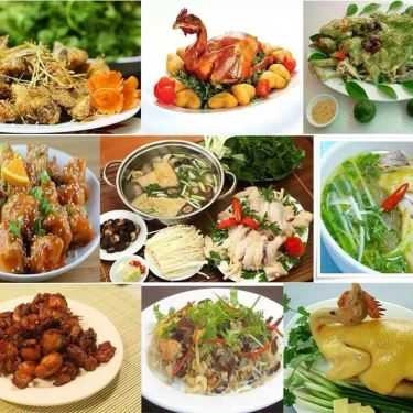 Tổng hợp- Gà Tươi Mạnh Hoạch - Yên Thanh