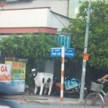 Không gian- Quán Ăn Gà Nướng & Bà Rọi Nướng