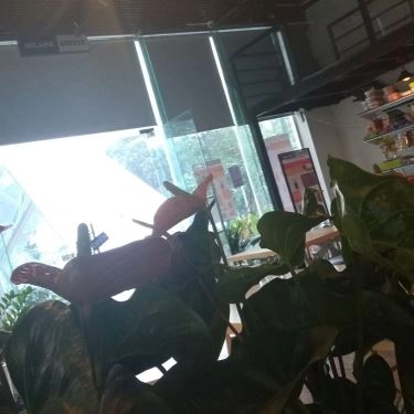 Tổng hợp- Quán Ăn Milano - Cafe & Gà Rán Torigo