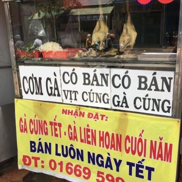 Tổng hợp- Quán Ăn Gà Ta Hội An 6 - Cơm Gà & Miến Gà