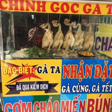 Tổng hợp- Quán Ăn Gà Ta Sơn Ca - Cháo & Gỏi Gà