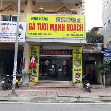 Tổng hợp- Quán Ăn Gà Tươi Mạnh Hoạch - Ngọc Lâm