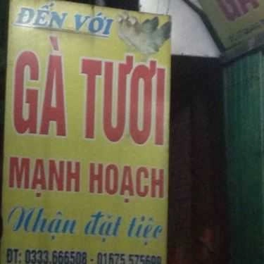 Tổng hợp- Gà Tươi Mạnh Hoạch - Quang Trung