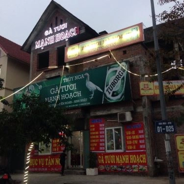 Tổng hợp- Quán Ăn Thúy Nga - Gà Tươi Mạnh Hoạch