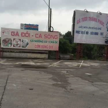 Tổng hợp- Quán Ăn Thành Phúc - Gà Đồi & Cá Sông