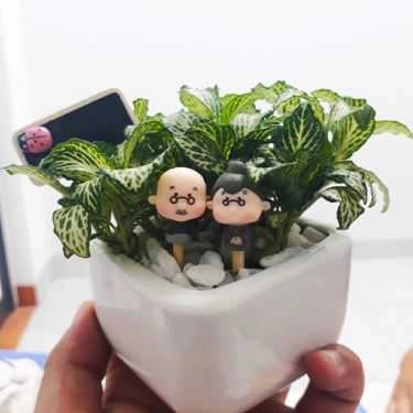 Tổng hợp- Gác Xinh - Floutea Hạ Long
